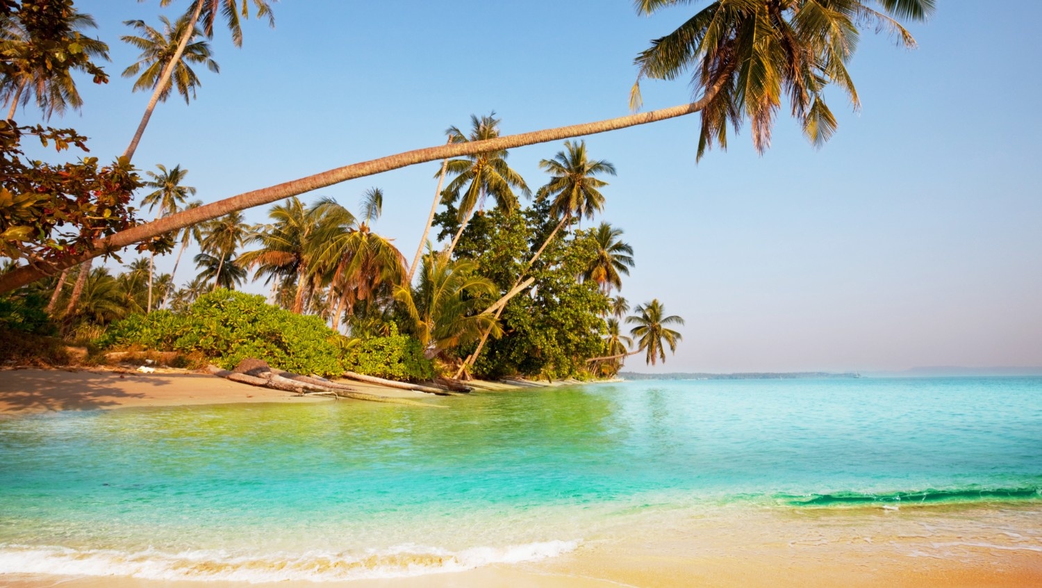 Andaman Beach Paradise